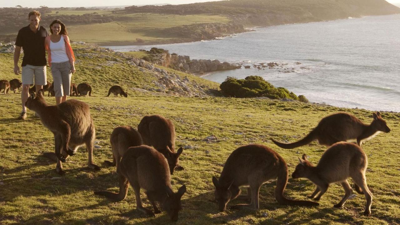 Kangaroo Island Seafront Hotel Penneshaw Exterior photo